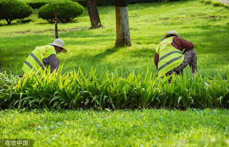 餐厅园林景观设计