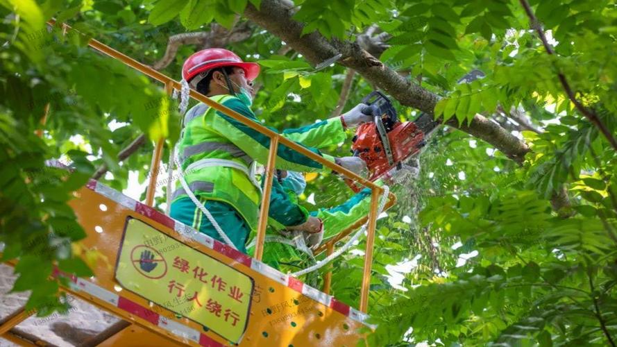 大型园林景观设计植物种植设计