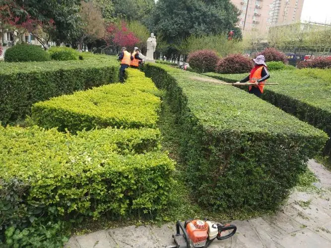 现在在哪里搞绿化工程好